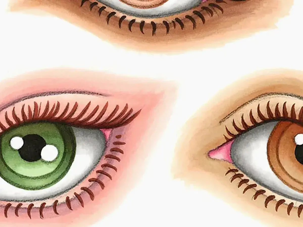 Browns; how to color EYES