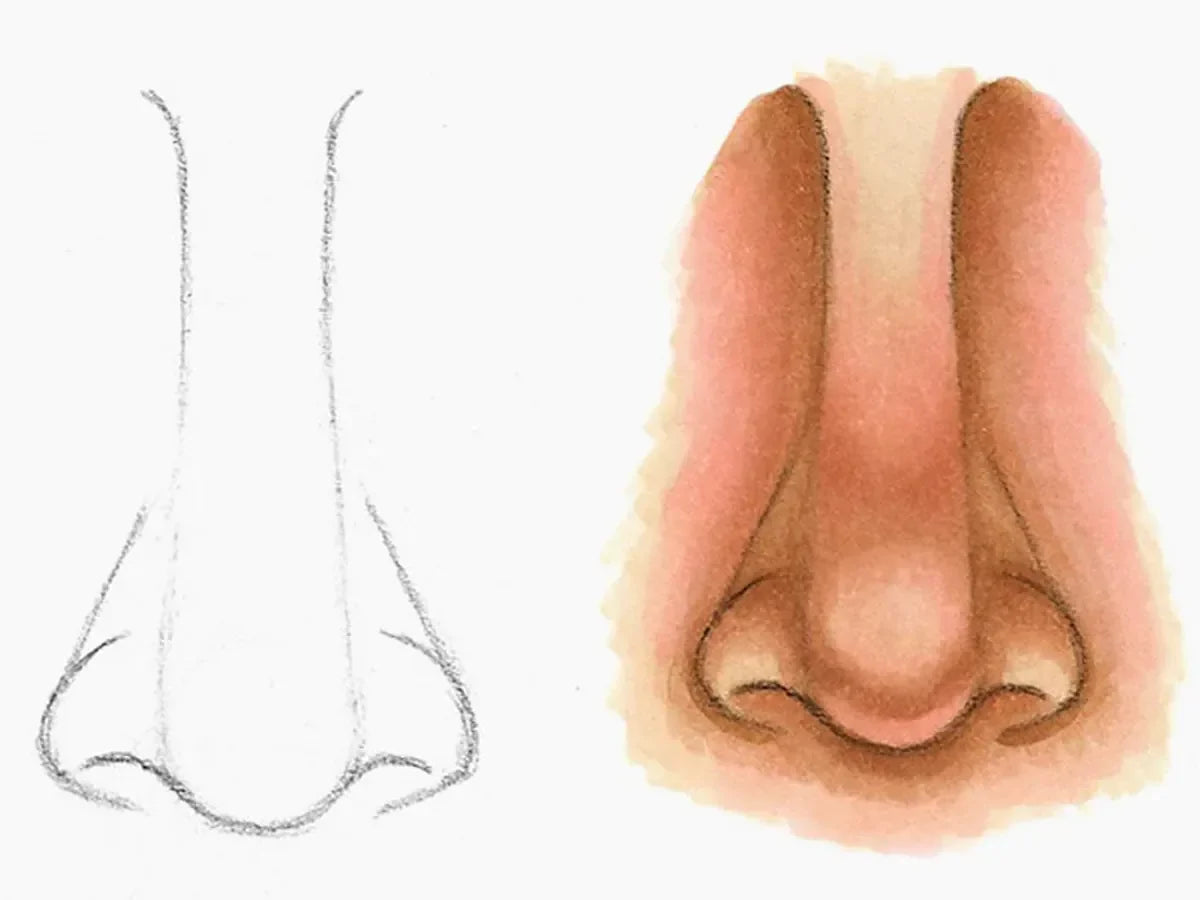 Browns; how to color a NOSE