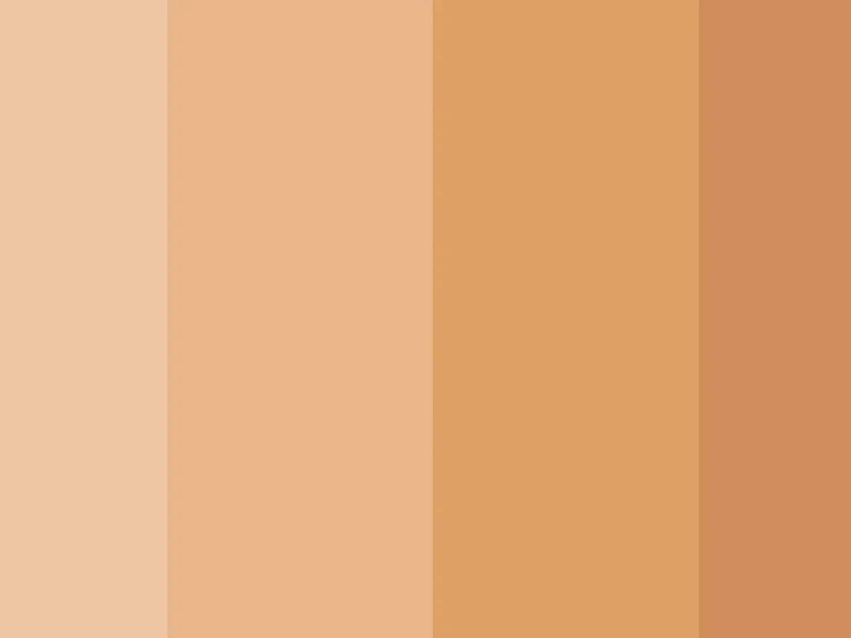 Colors NOT on the Color Wheel: Browns