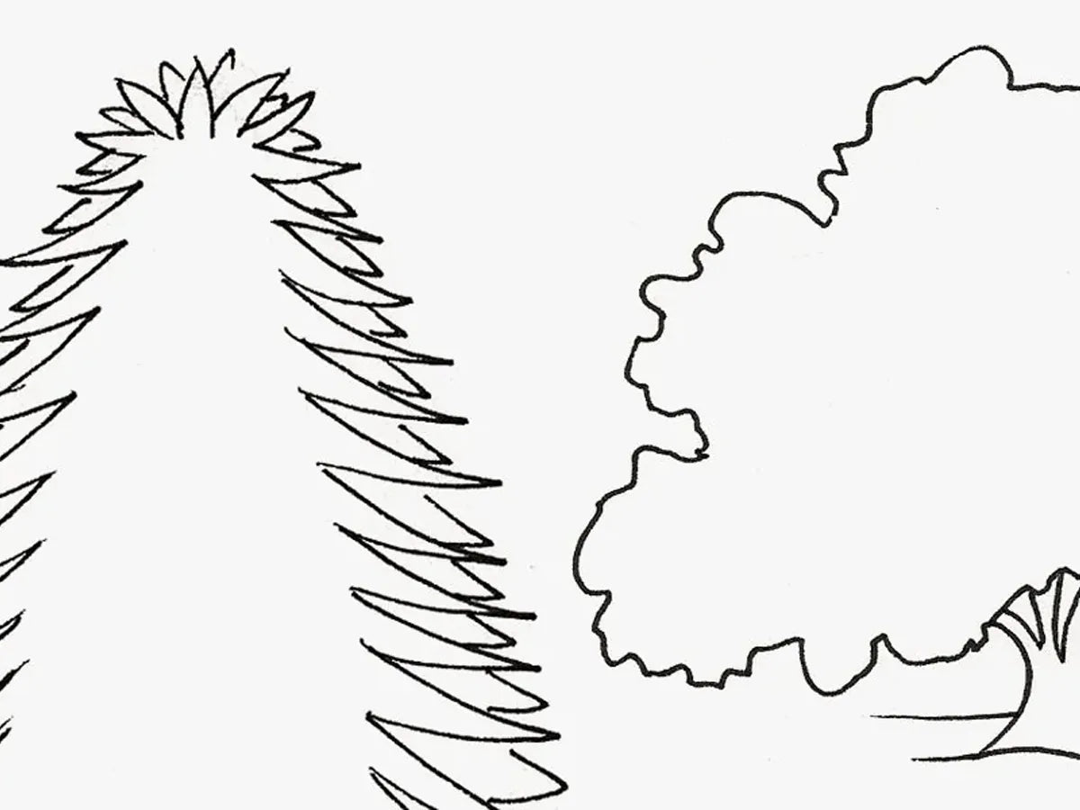 Nature, draw + outline TREES
