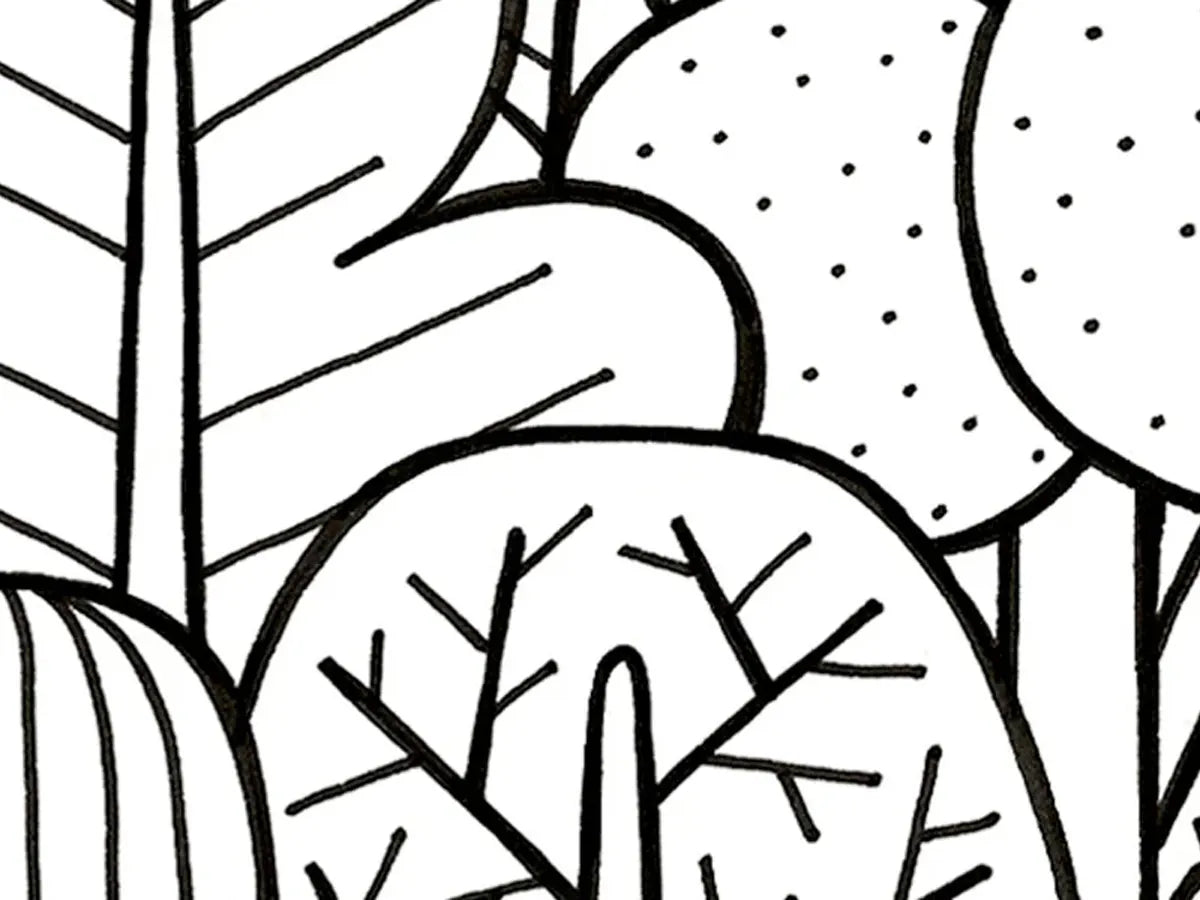 TREES, drawing a forest
