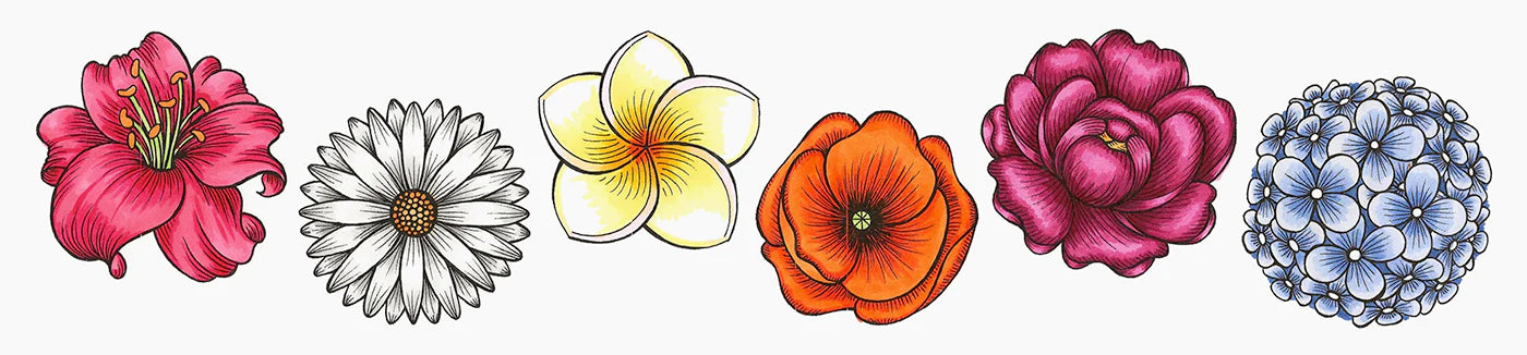 Nature, Coloring Flowers pt. 2