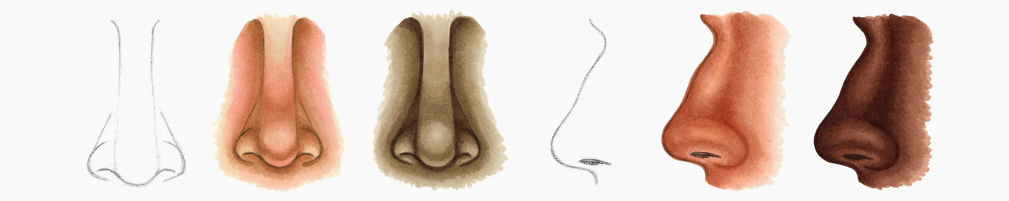 Browns; how to color a NOSE