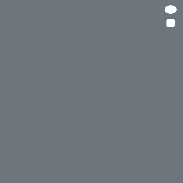 C6 : Cool Gray No. 6